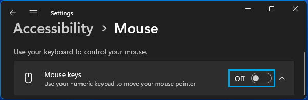 Deaktivieren Sie Die Maustastenoption In Windows 11