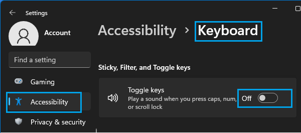 Disable Toggle Keys Option in Windows 11