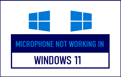 Microphone Not Working Windows 11