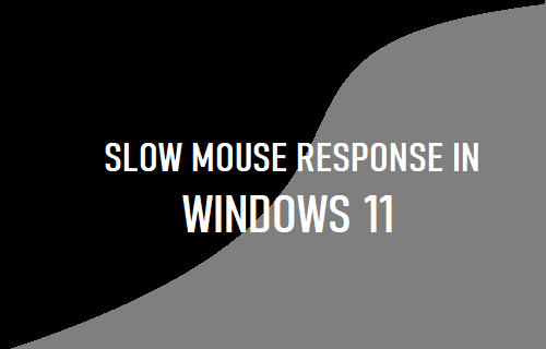 Slow Mouse Response in Windows 11