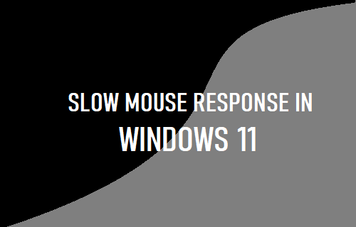 Fix  Slow Mouse Response in Windows 11 - 48