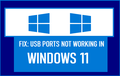 USB Ports Not Working in Windows 11