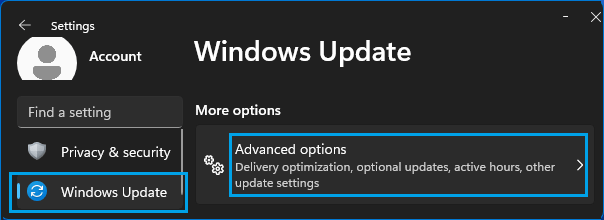 Open Advanced Windows Update Options