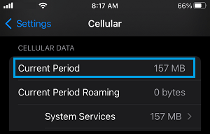 Cellular Data Usage Status on iPhone 