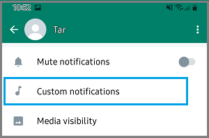 Custom Notifications Settings Option in WhatsApp