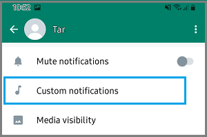 Option Für Benutzerdefinierte Benachrichtigungseinstellungen In Whatsapp