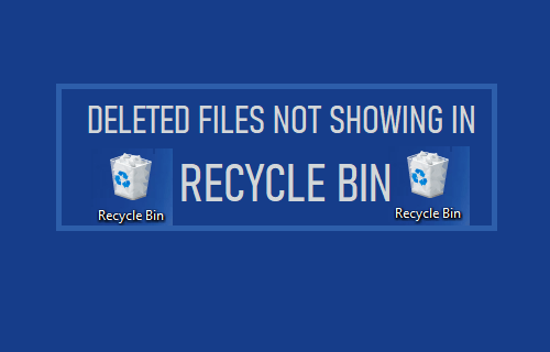 Deleted Files Not Showing in Recycle Bin  How to Fix  - 81