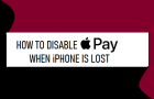 Disable Apple Pay When iPhone is Lost