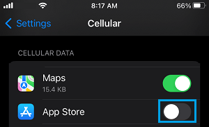 Disable Cellular Data For App Store on iPhone