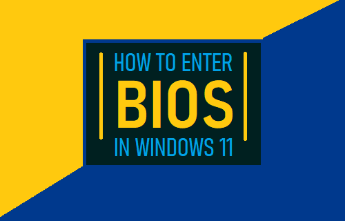 Enter BIOS in Windows 11