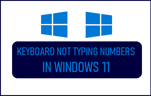 Keyboard Not Typing Numbers in Windows 11