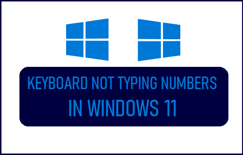 Tastatur Gibt Keine Zahlen In Windows 11 Ein