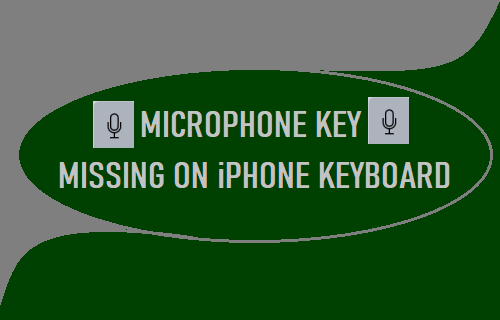 Microphone Key Missing on iPhone Keyboard