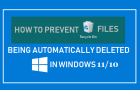 Prevent Recycle Bin Files from Being Deleted