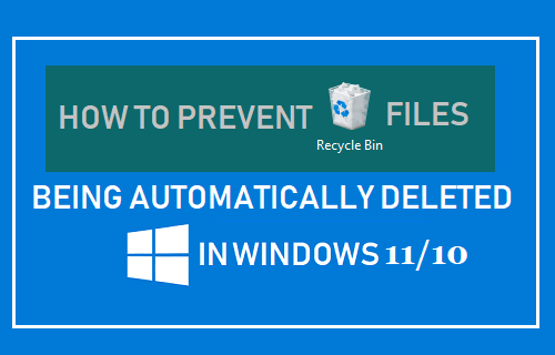 Prevent Recycle Bin Files from Being Deleted