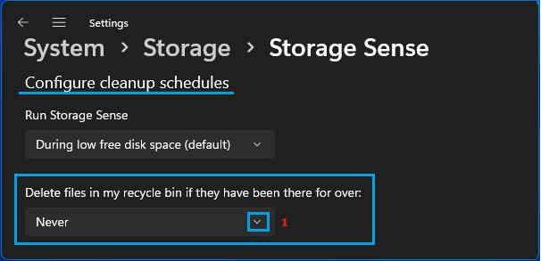 Never Clear Recycle Bin Option in Windows 11