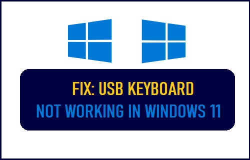 USB Keyboard Not Working in Windows 11