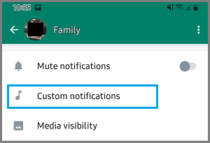 Custom Notifications Setting Option in WhatsApp