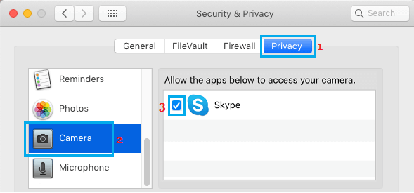 Allow Skype to Access Camera