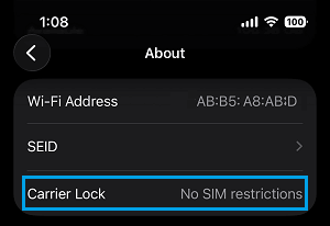 Carrier Lock Status on iPhone
