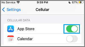 Enable Cellular Data For App Store on iPhone