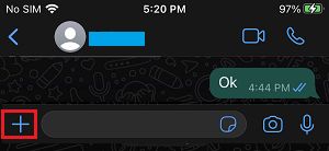 Plus Icon on WhatsApp Chat Screen