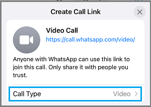 Select WhatsApp Call Type Option on iPhone