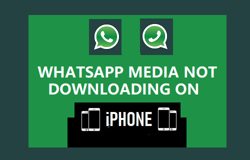 WhatsApp Media Not Downloading on iPhone - 89