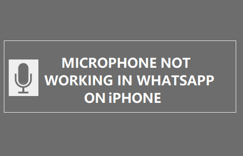 Microphone Not Working in WhatsApp on iPhone