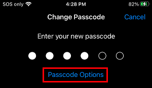 Open Passcode Options on iPhone