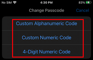 Select Password Type Option on iPhone
