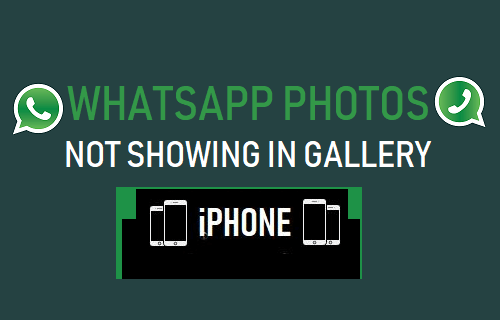 WhatsApp Photos Not Showing in Gallery on iPhone
