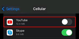 Disable Cellular Data For YouTube on iPhone