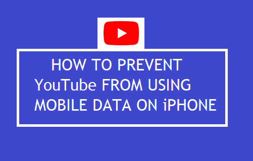 Prevent YouTube from Using Mobile Data on iPhone