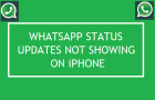 WhatsApp Status Not Showing on iPhone