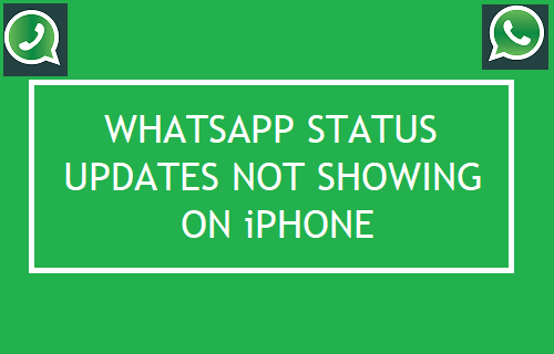 WhatsApp Status Not Showing on iPhone