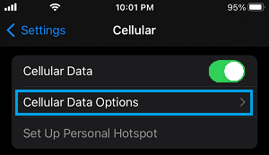 Cellular Data Options Tab on iPhone