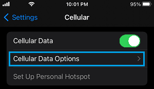 Cellular Data Settings Options on iPhone