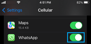 Allow WhatsApp to Use Mobile Data on iPhone