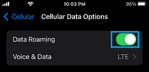 Enable Data Roaming on iPhone
