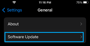 Software Update Tab on iPhone Settings App