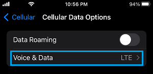 Voice And Data Settings Option on iPhone