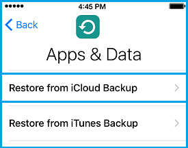 Select Restore From iCloud Backup Option
