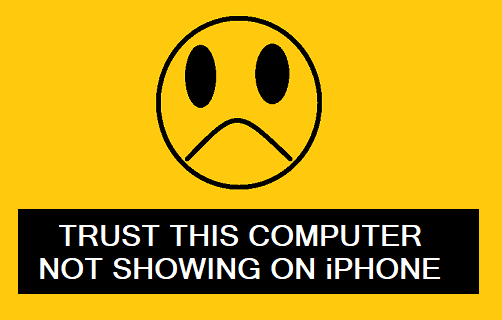 Trust This Computer Not Showing On iPhone