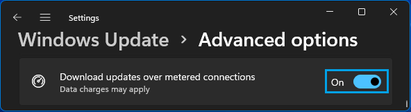 Download Updates Over Metered Connection Option in Windows 11