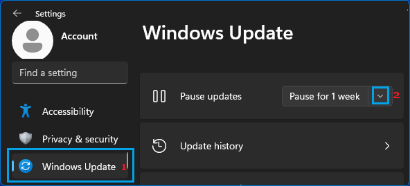 Pause Updates Option in Windows 11