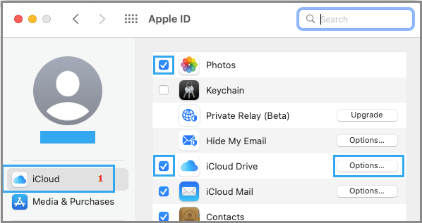 Select Items on Mac to Backup to iCloud