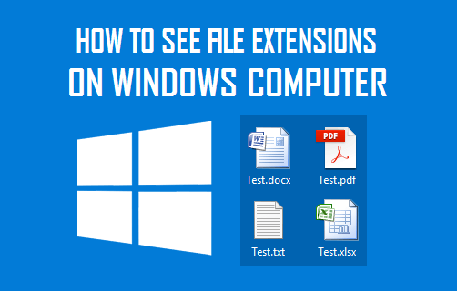 Show File Extensions in Windows 11/10