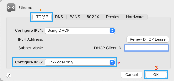 Configure IPV6 to Link Only Option on Mac