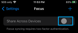 Focus Screen Settings on iPhone